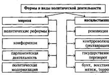 Политическое участие граждан Политическое участие имеющее принудительный